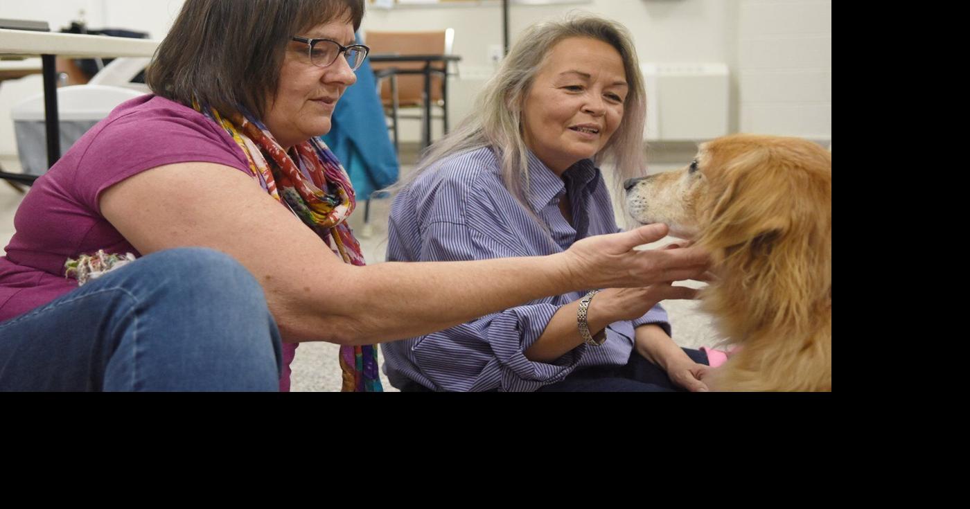 Lowcost vet for tenants in Peterborough is a 'blessing'