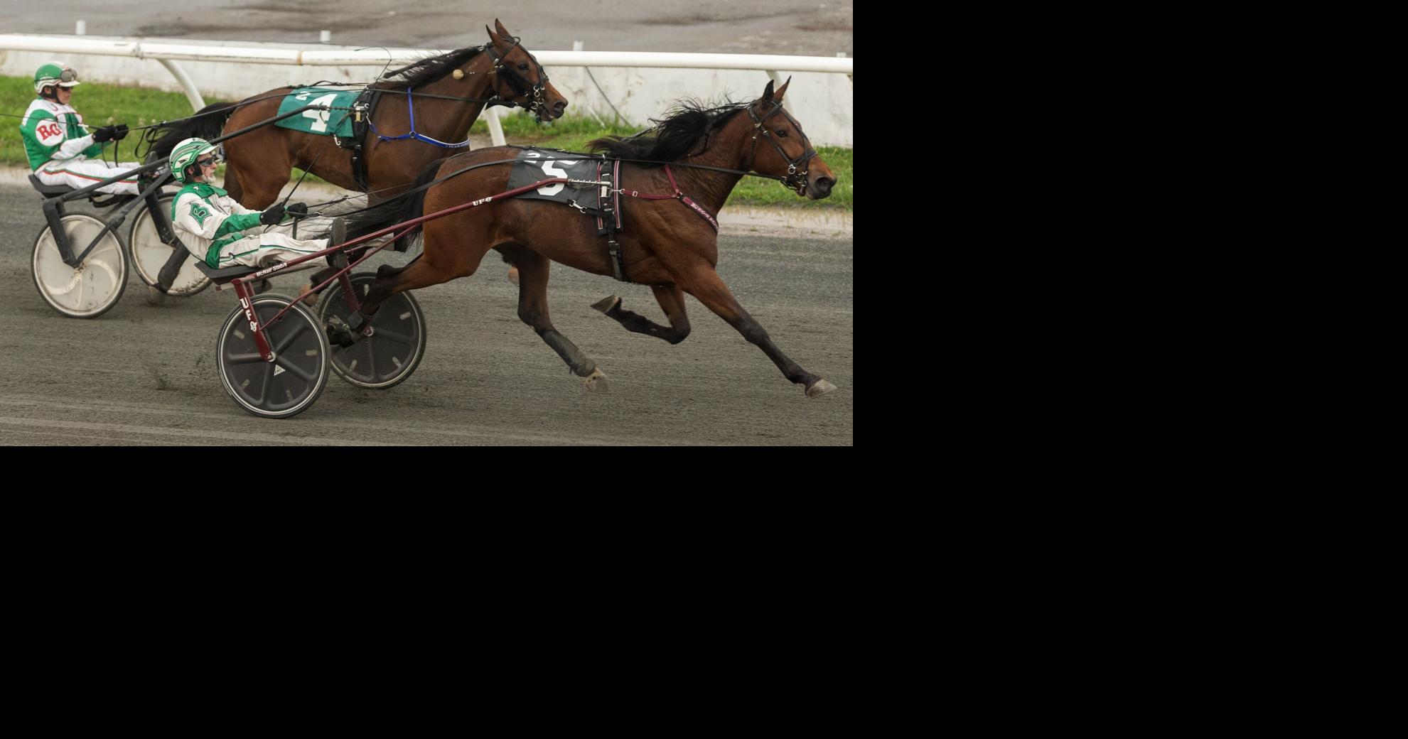 Harness racing legend Doug Brown talks North America Cup