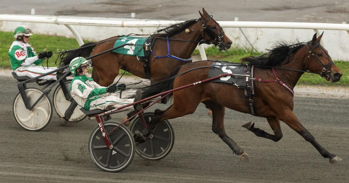 Harness racing legend Doug Brown talks North America Cup