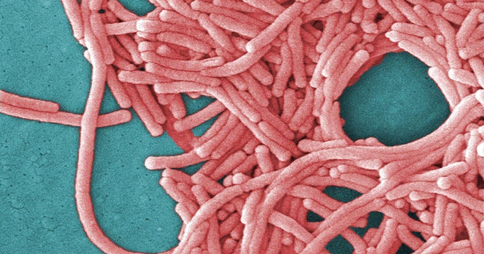 TTC cooling tower source of legionnaire disease outbreak in Toronto : public health