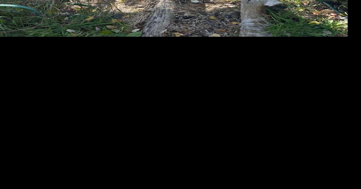 Don’t wring the quilts means two jobs done in one