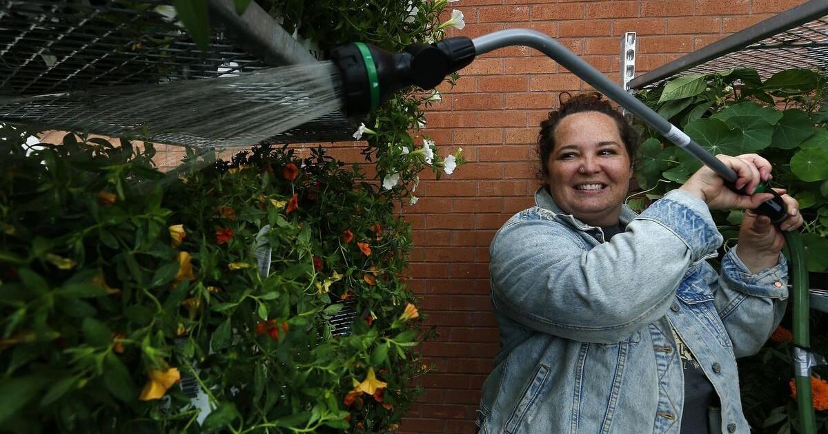 Green Team hits the streets again to beautify downtown Peterborough - Vimarsana News