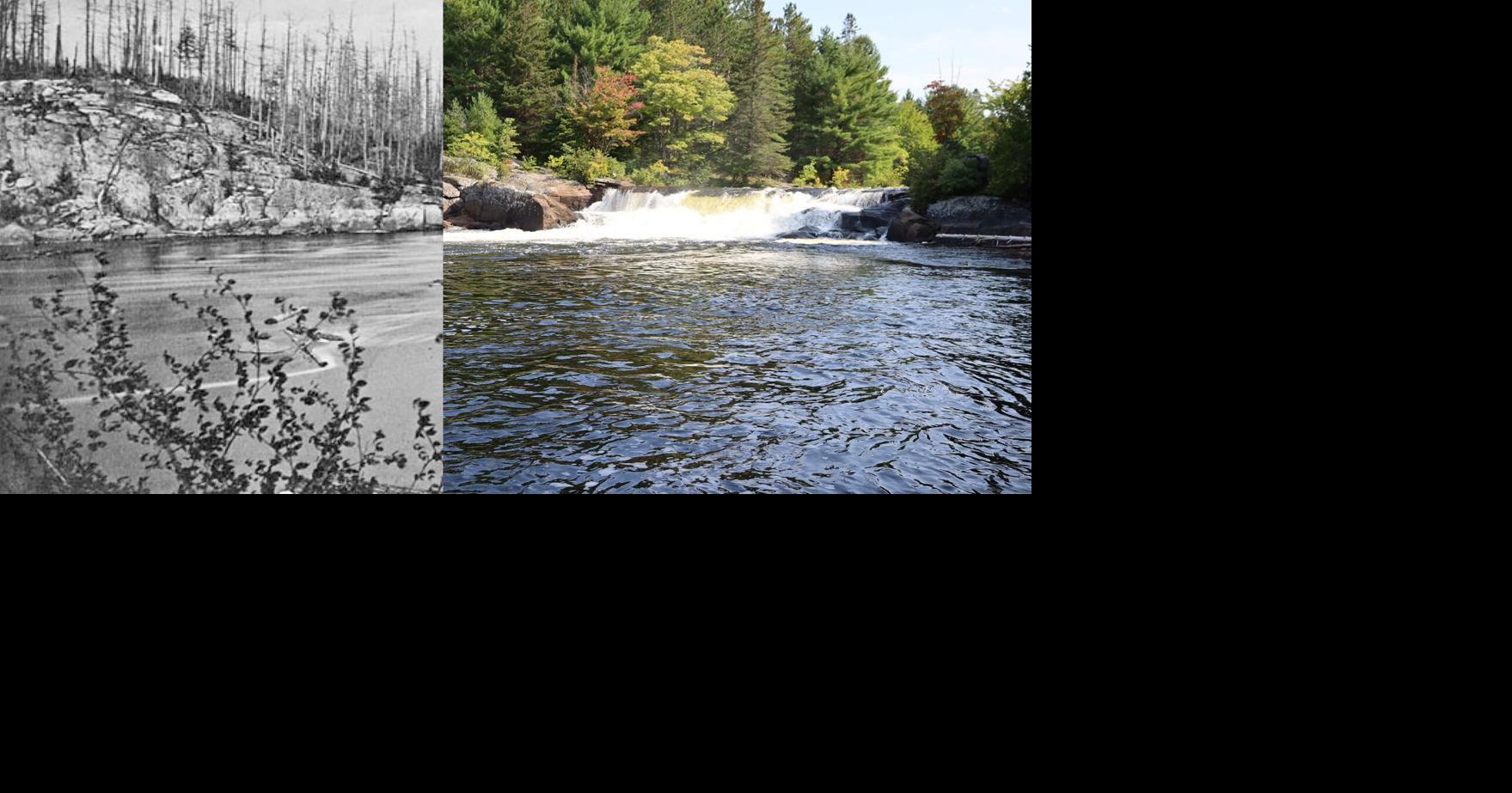 Kawartha’s lumber barons did more than just blaze a corporate trail