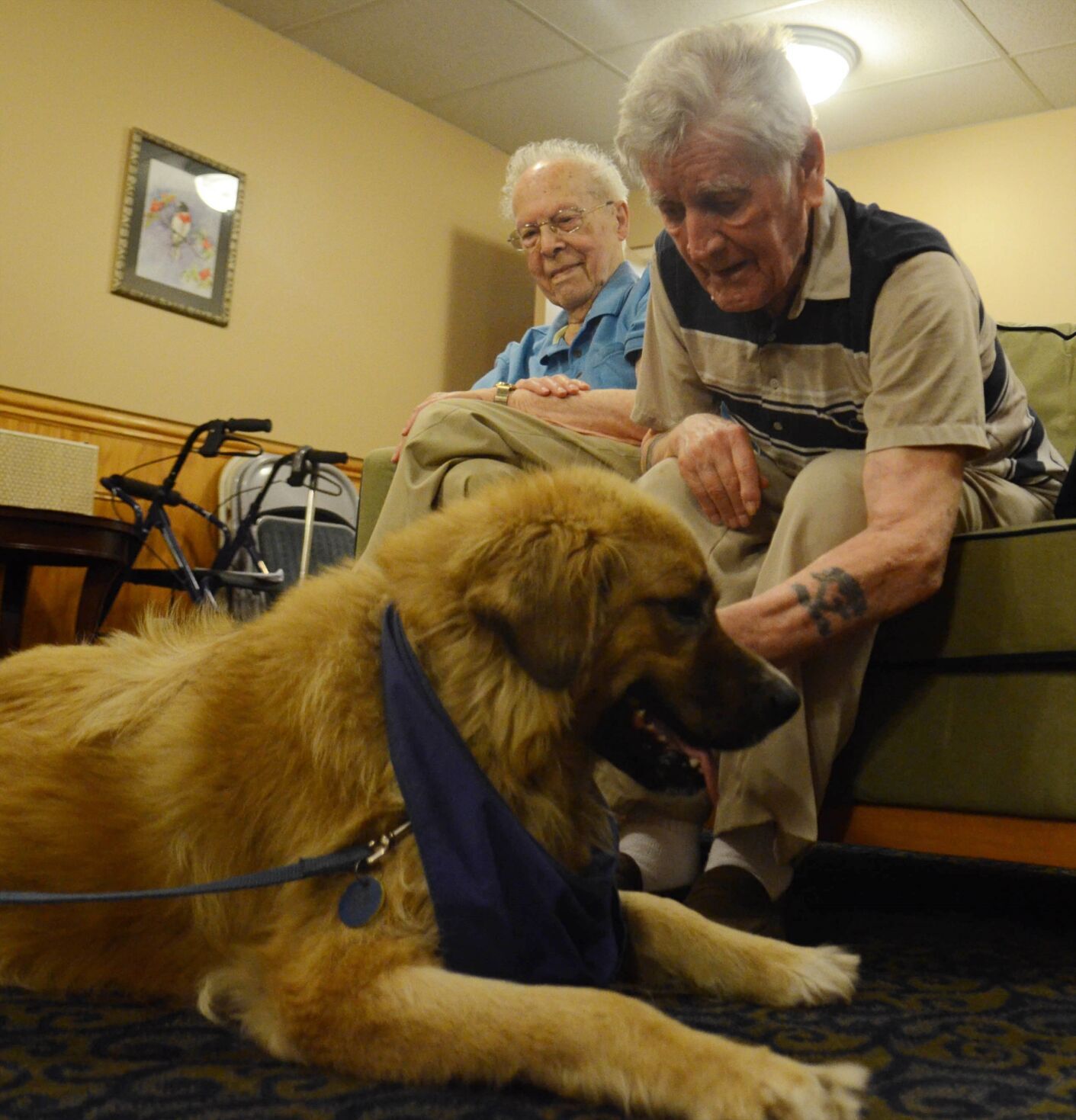 East central hot sale therapy dogs