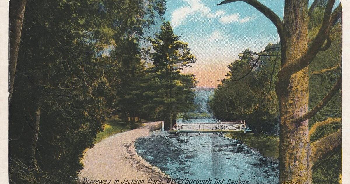 Northcrest Ward: Follow a Jackson Park trail into Peterborough history - Vimarsana News