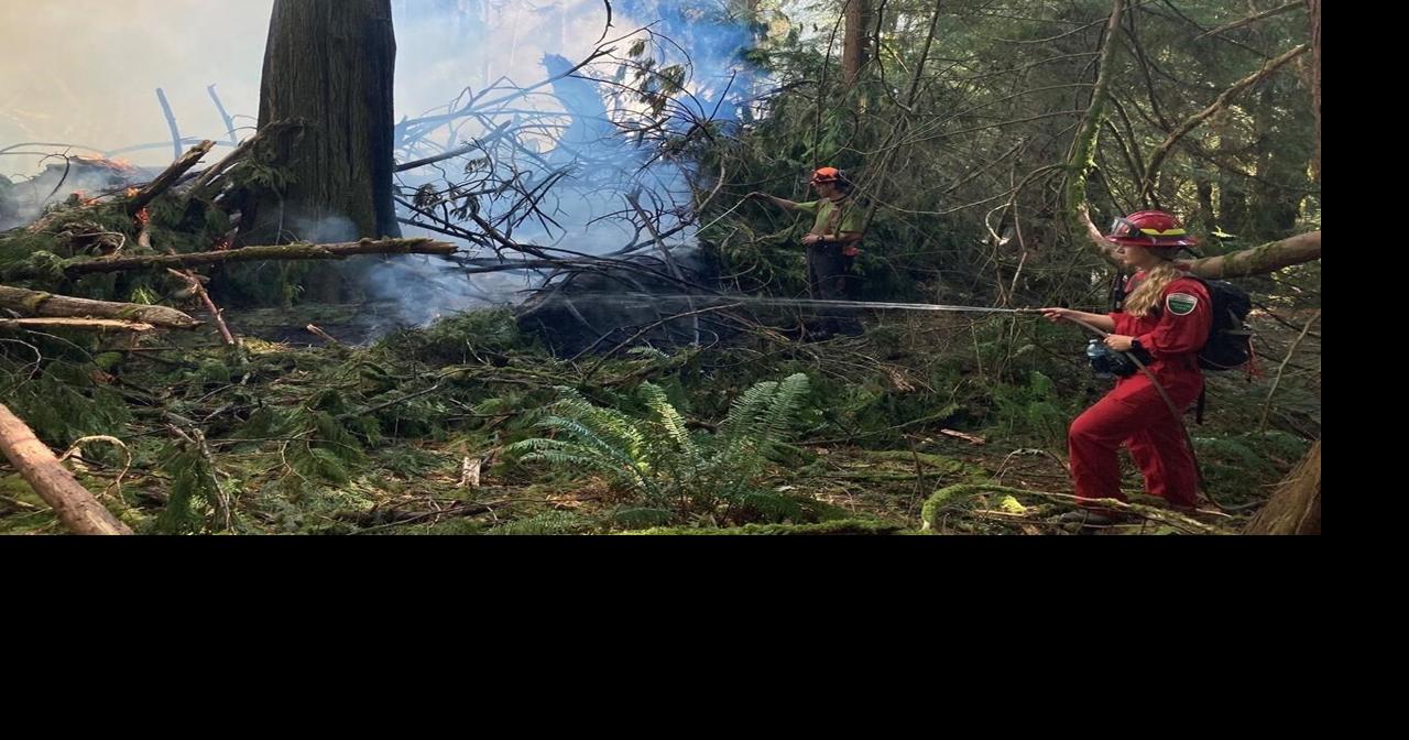 Small wildfire in Metro Vancouver regional park now under control