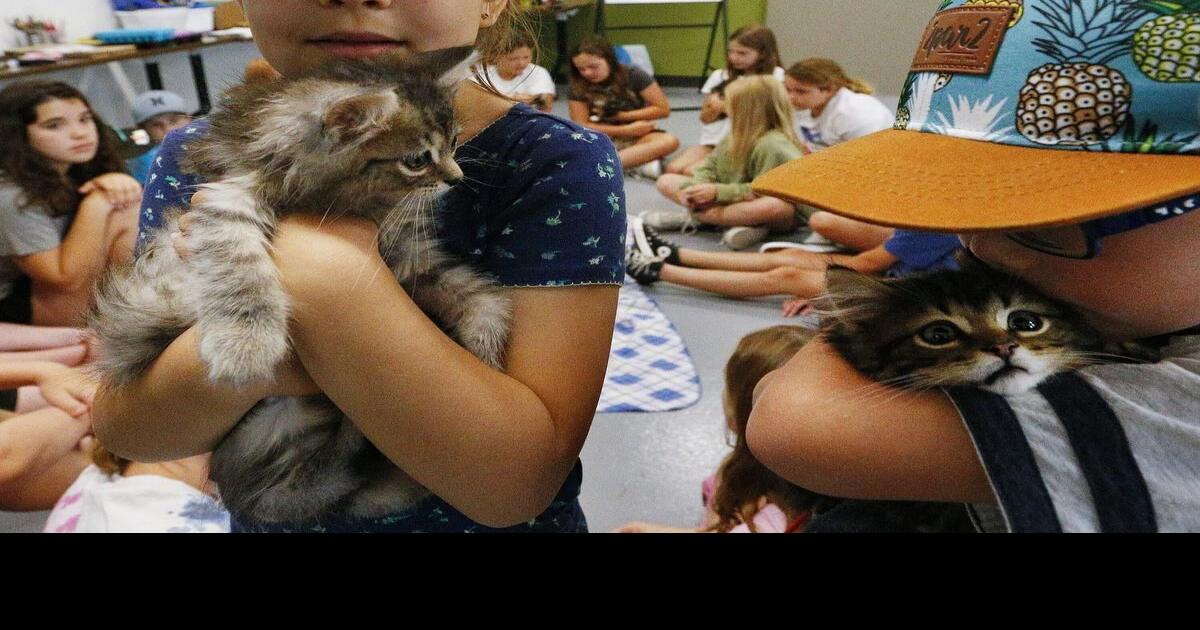 Photos Peterborough Animal Care Centre hosts first Pawsome Kids Summer