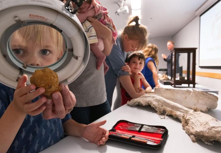 Discovering Dinosaurs drop-in program held at city library