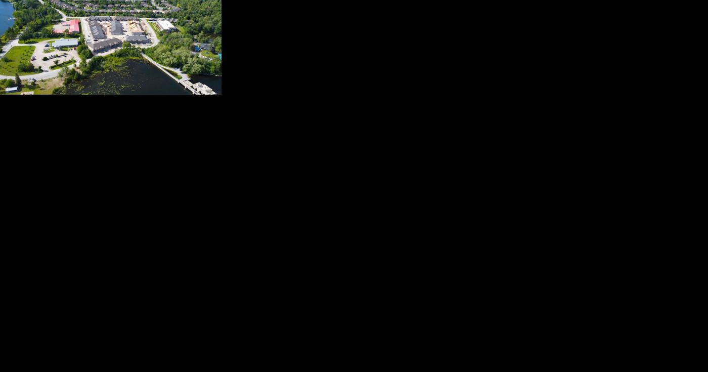 Is proposed tree bylaw a case of history repeating itself? - Vimarsana News