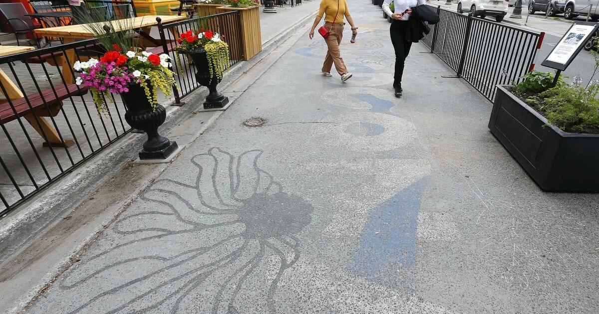 Photos: Renaissance on Hunter public art projects begins on Peterborough street - Vimarsana News