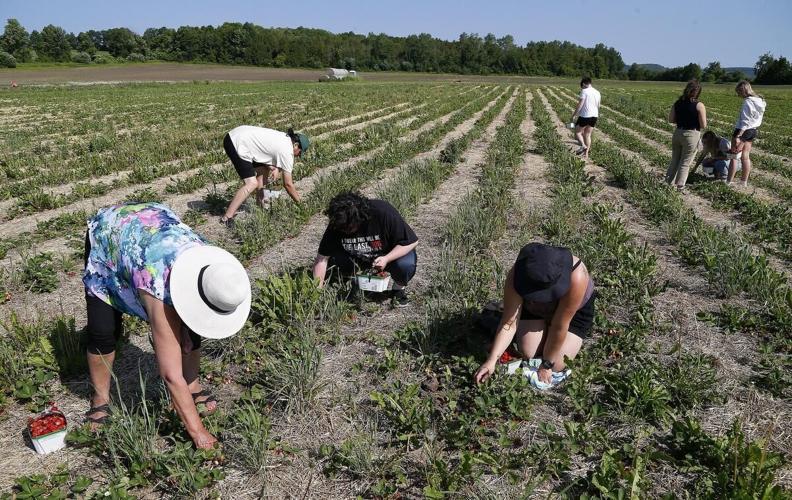 Photos Fleming College celebrates Indigenous Peoples Day with a day of
