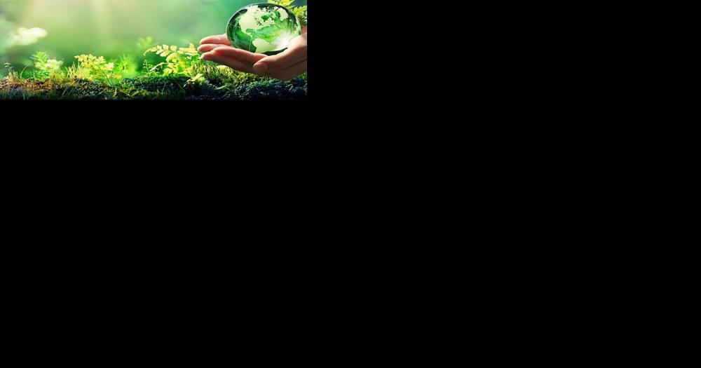 Celebrate Kawartha Lakes environmental heroes; nominate now - Vimarsana News