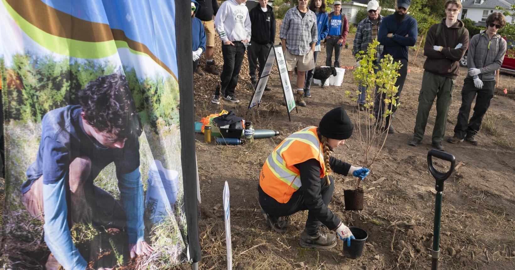 300 trees planted at Otonabee Court Seniors Residence