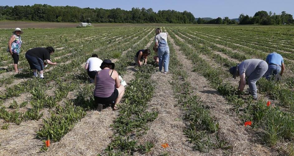 Photos Fleming College celebrates Indigenous Peoples Day with a day of
