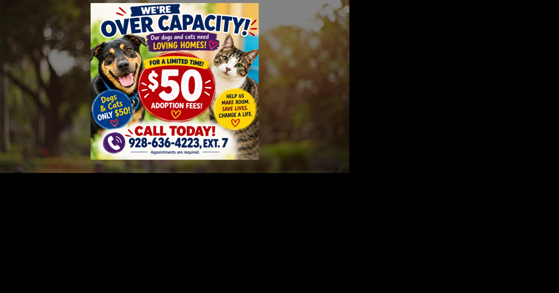 Chino Valley Animal Shelter at Capacity, Adoption Fees Reduced to Find Pets Home...