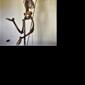 Dancing Skeleton Stolen in Yavapai County | | theprescotttimes.com