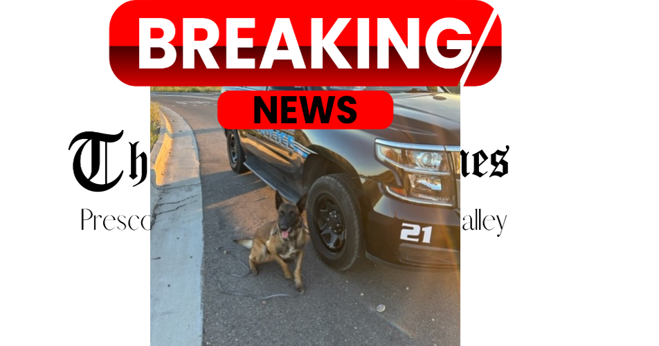 Drug Bust Cottonwood Police Seize 12.4lbs of Fentanyl and Cash in