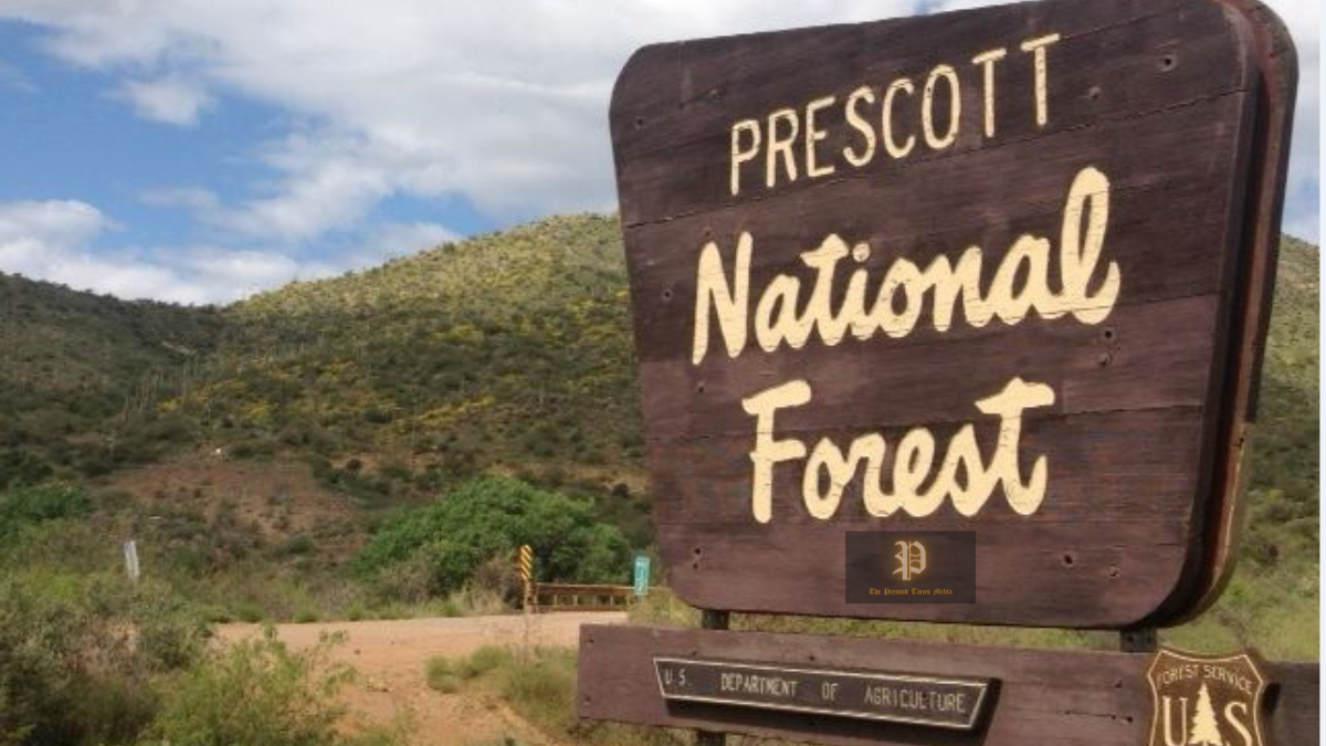 Prescott National Forest Announces Dead and Down Fuelwood Permits