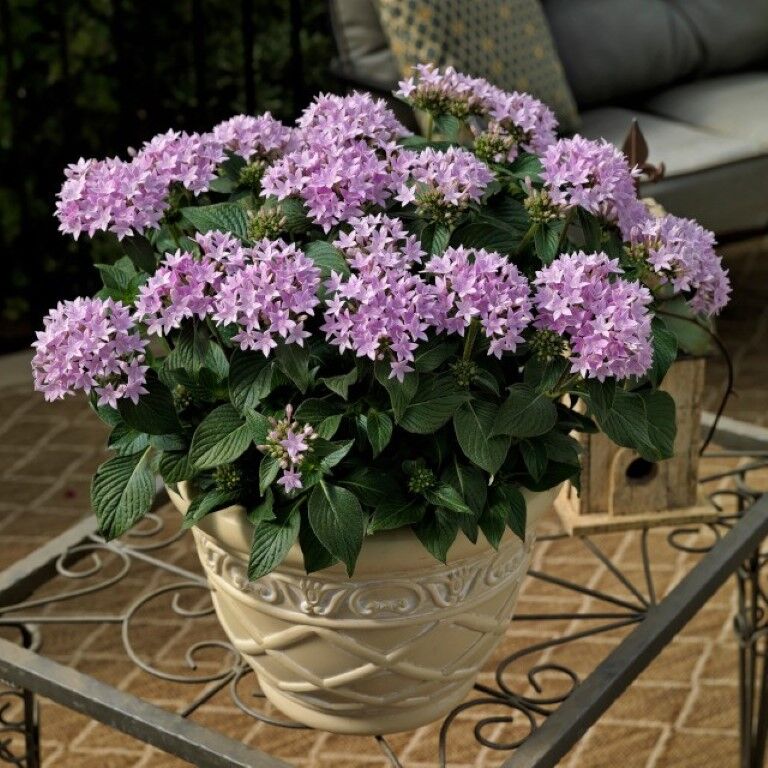 plastic planter pots large Wave Planter 20X24 White 2 Pack from Step2