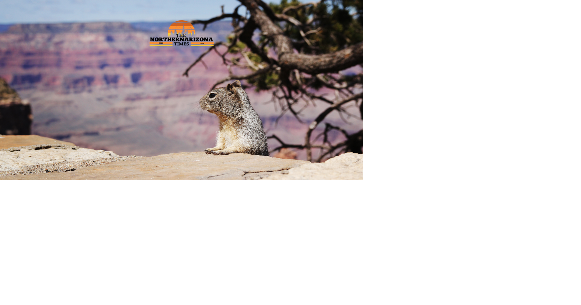 Top 10 Family-Friendly Outdoor Adventures in Northern Arizona (That Your Kids Will Actually Love! | Lifestyles