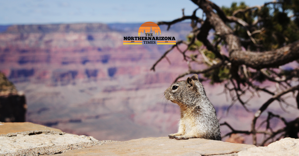 Top 10 Family-Friendly Outdoor Adventures in Northern Arizona (That Your Kids Will Actually Love! | Lifestyles Top 10 Family-Friendly Outdoor Adventures in Northern Arizona (That Your Kids Will Actually Love! | Lifestyles
