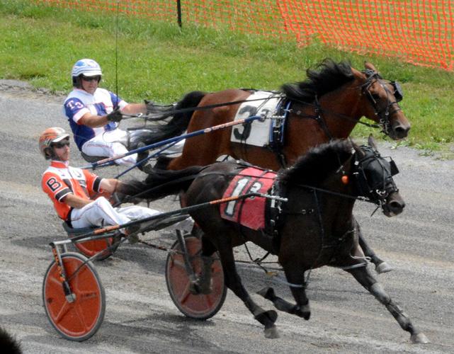 Brady Brown dominates on first day of harness racing | Sports ...