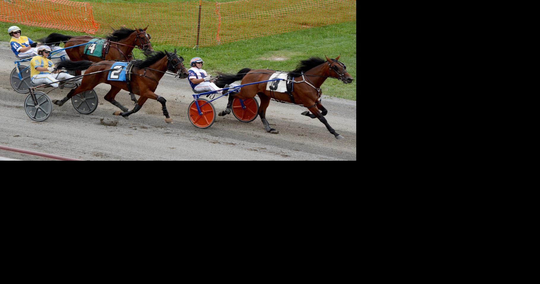 Brown, Hammer lead the way on Day 1 of harness racing | Sports ...