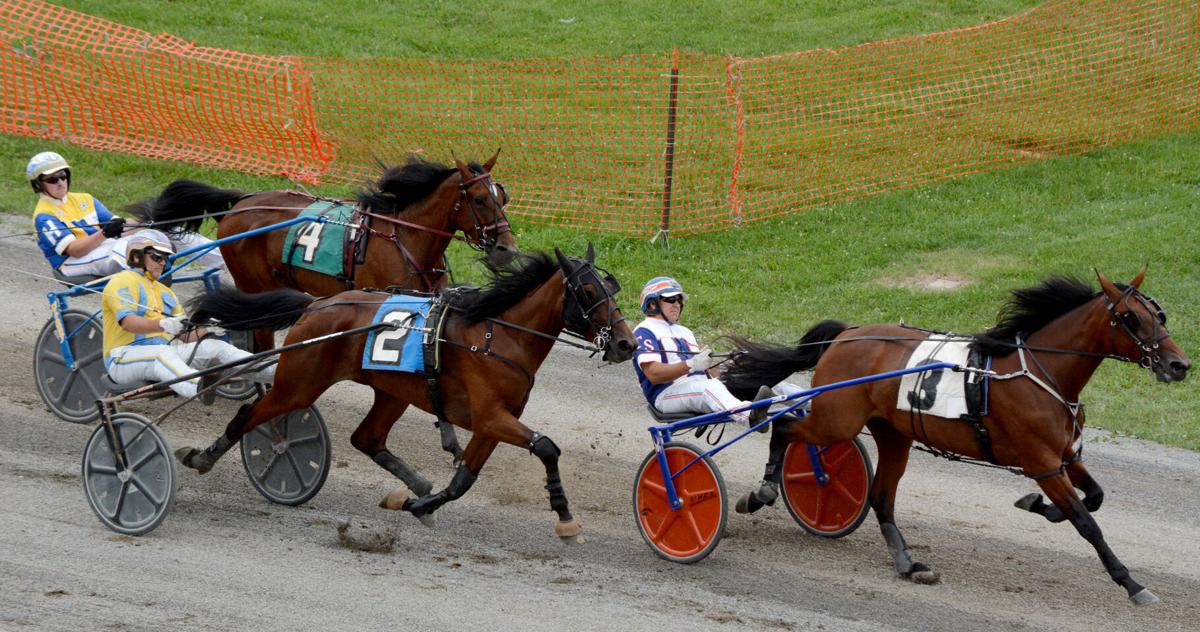 Brown, Hammer lead the way on Day 1 of harness racing | Sports ...
