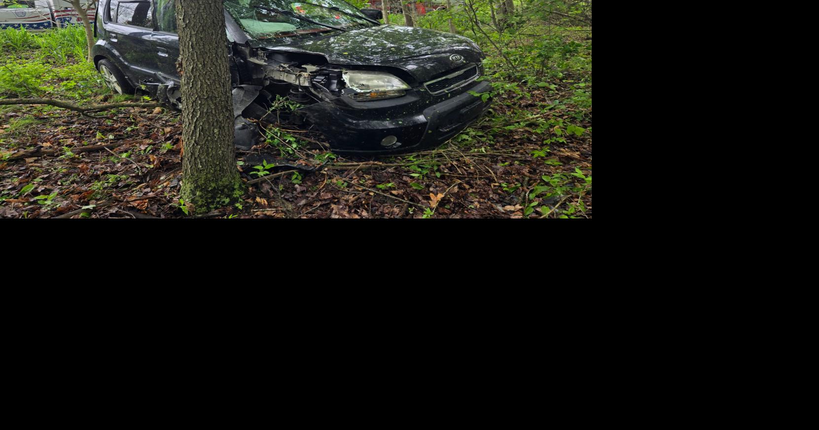 VEHICLE VS. TREE | Local | theprogressnews.com