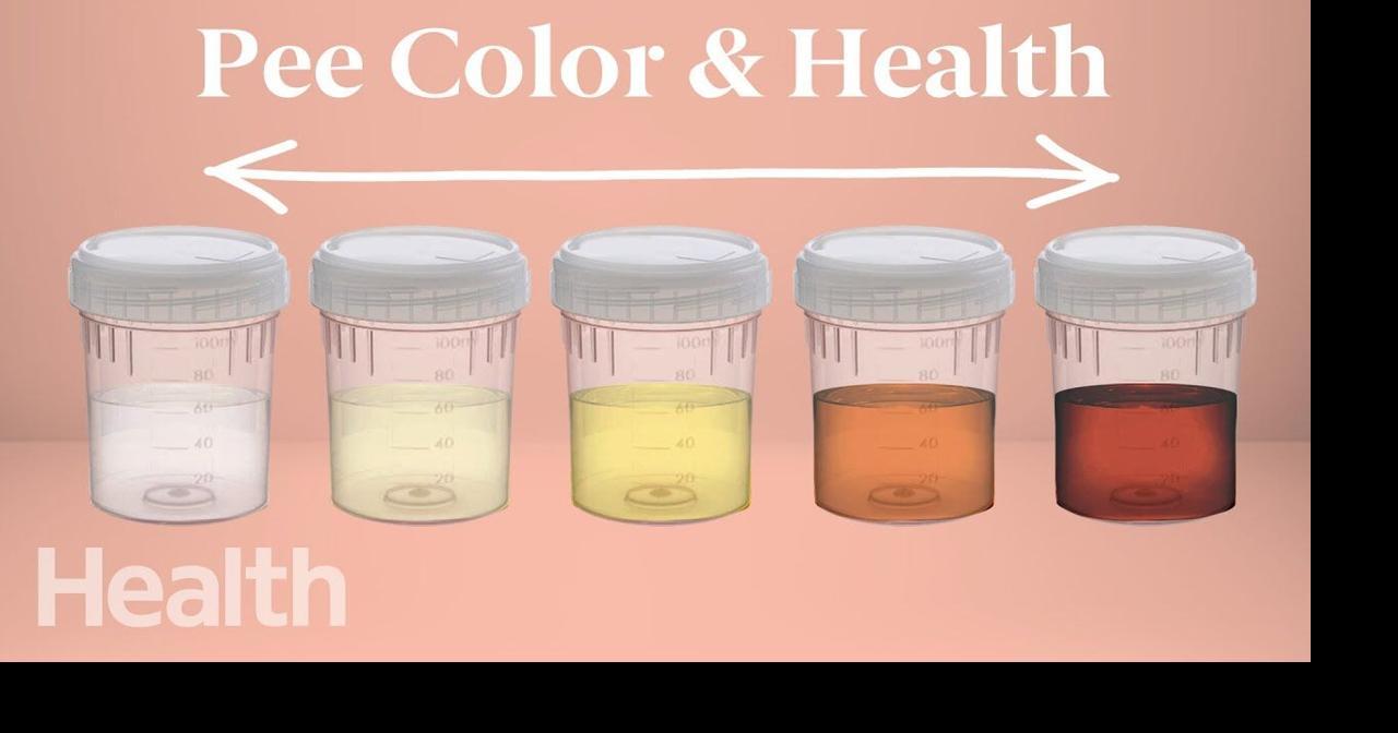 What Your Urine Color Says About Your Health Urinary System Breakdown