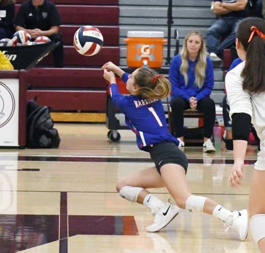 Volleyball: WCA set to contend for Section 6A crown - Alexandria