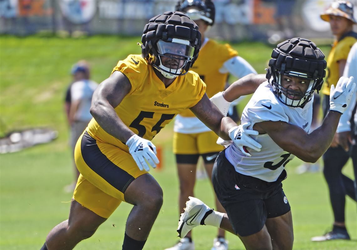 Devin Bush: Pittsburgh Steelers linebacker to undergo season-ending ACL  surgery, NFL News