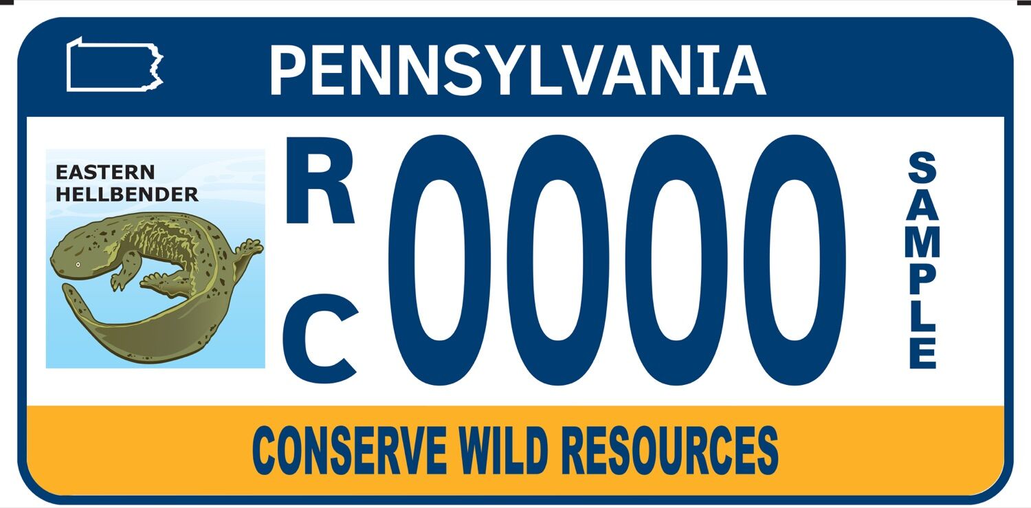 Shapiro administration celebrates Eastern Hellbender license plate
