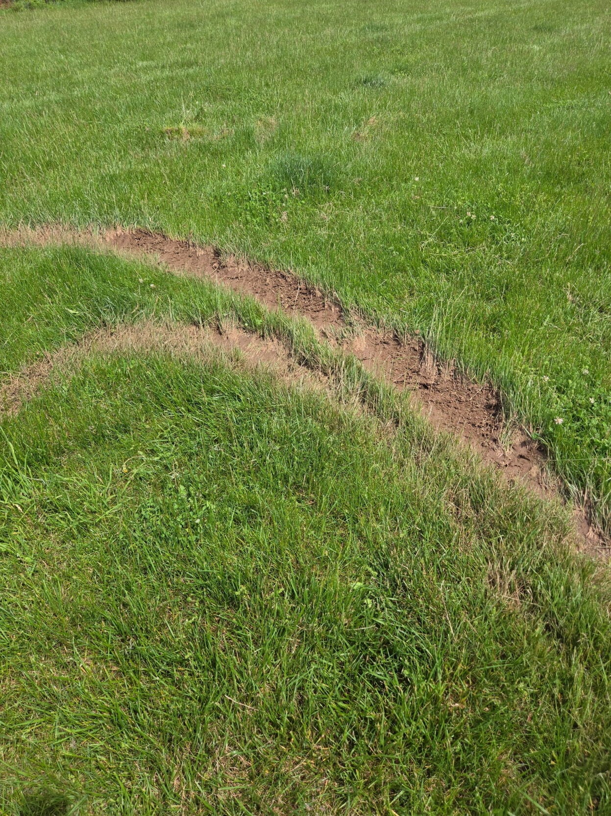Vandals damage football field at Lawrence Township Recreation Park