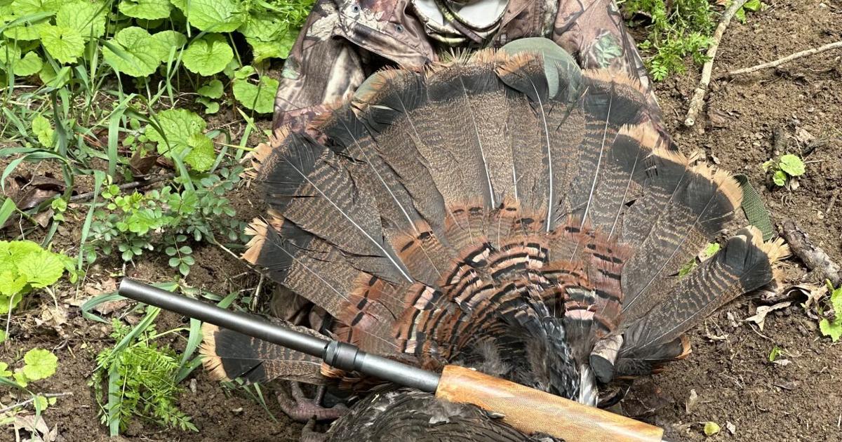 Fall turkey season on the horizon