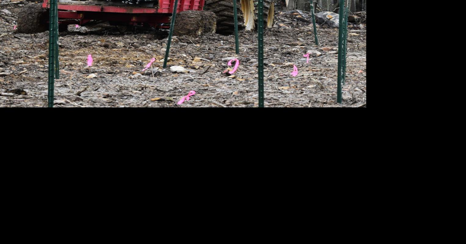 GATEWAY OUTDOORS: Prune and plant for wildlife