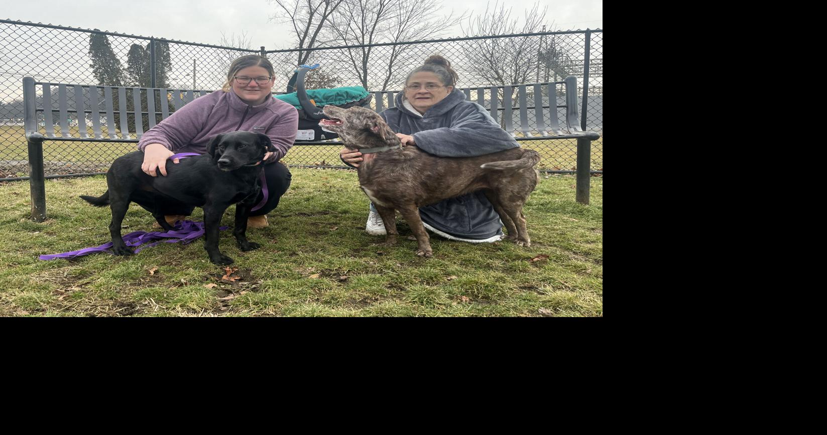 Dog park event returning to Philipsburg Local