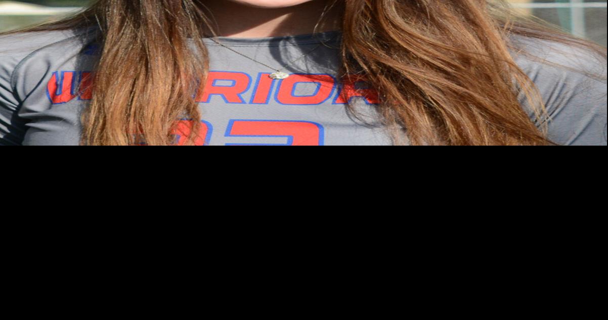 Four Progressland volleyball players named to PVCA all-state team ...
