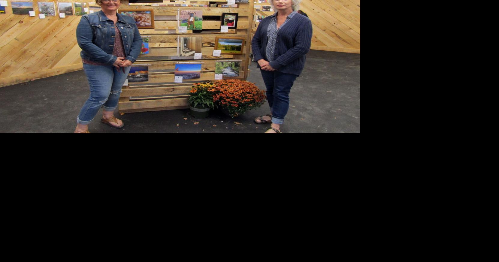 Harmony Fair hopes to augment arts department through new display space Progress News