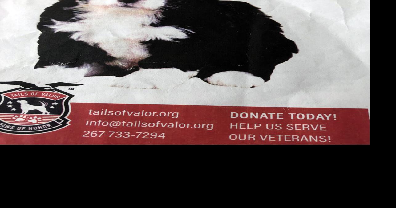 Late Curwensville BPW member and veteran's legacy will live on through