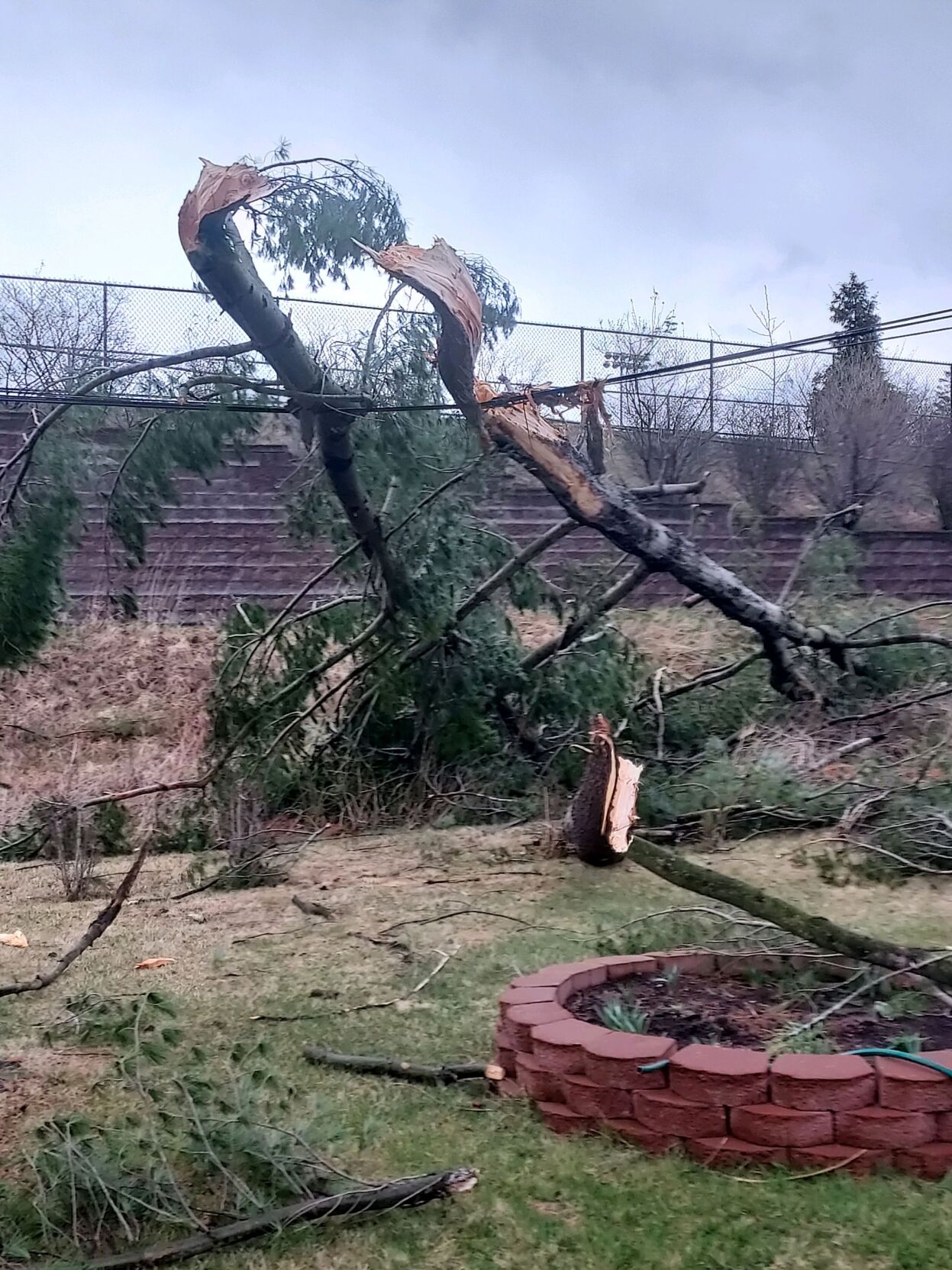 Thousands without power after storms blow through region | News ...