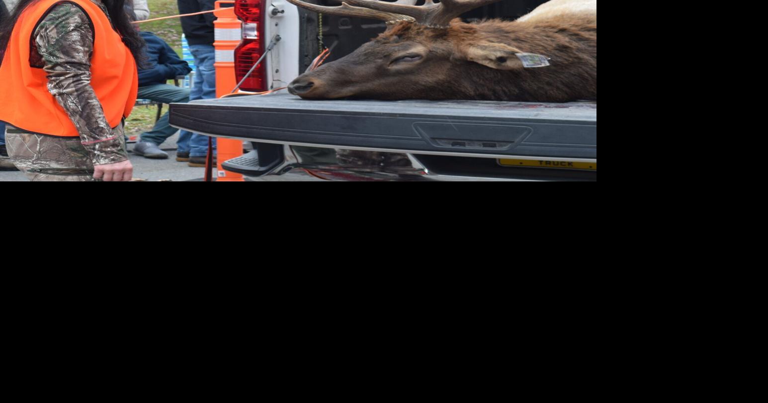 GATEWAY OUTDOORS: Pennsylvania's elk success story