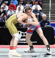 West Branch's Bainey brings home PIAA silver