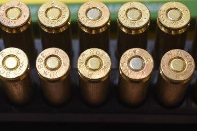 Police seize guns, cash, cocaine and stolen vehicles during search of ...