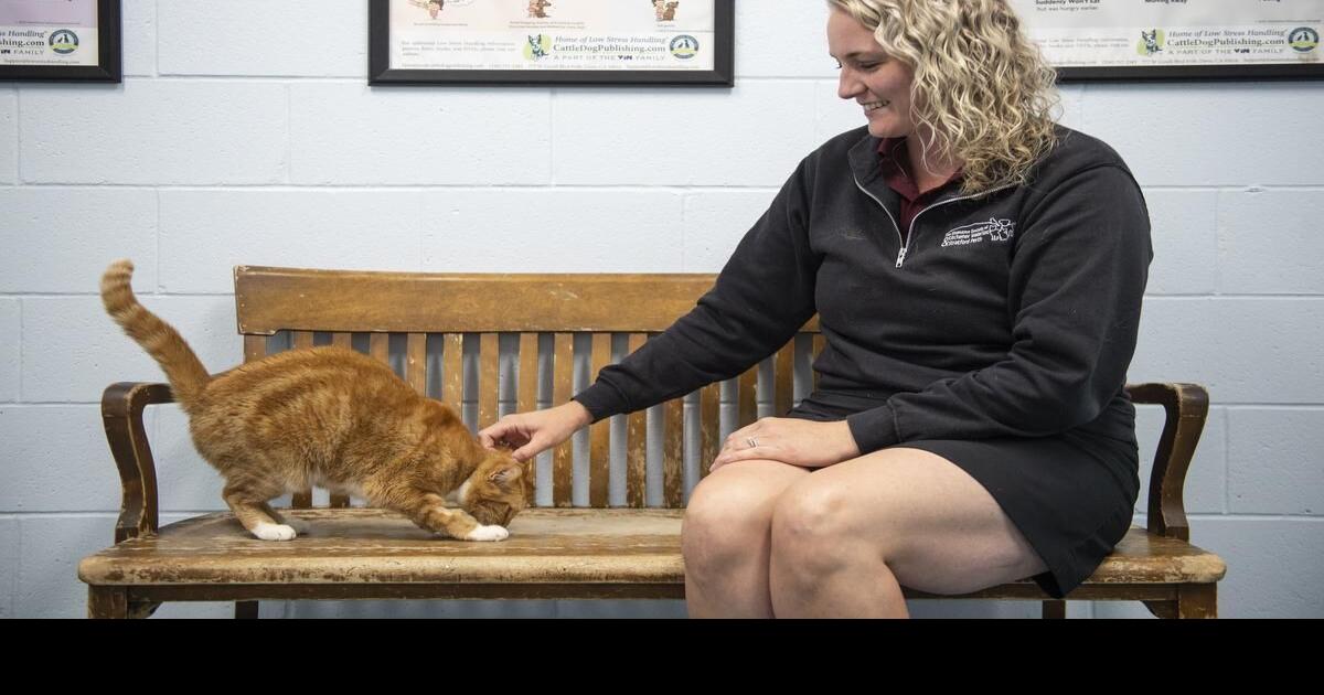 KitchenerWaterloo Humane Society needs newspaper donations