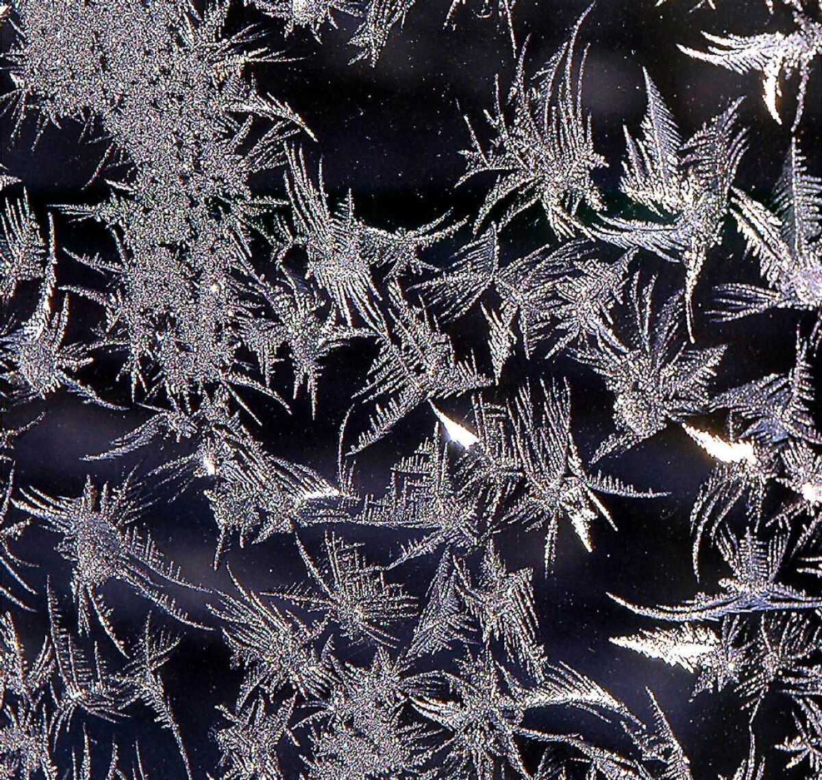 Patchy Frost Expected In Waterloo-Wellington Area Overnight