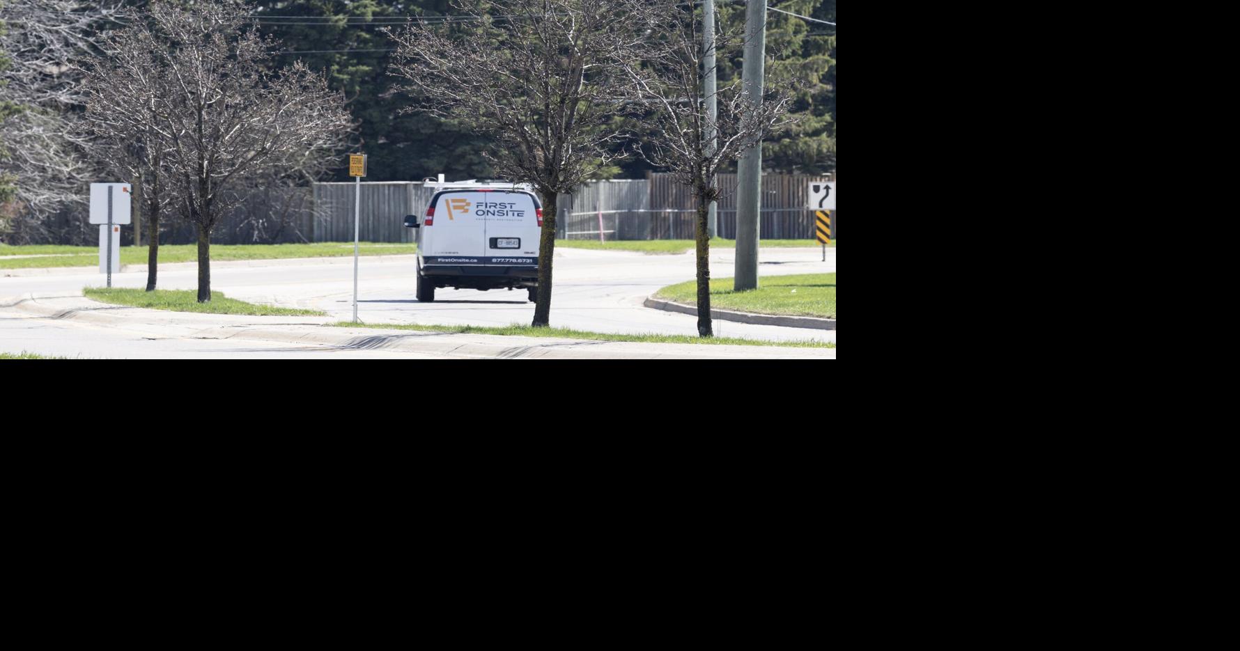 Waterloo council considers compelling owners to protect private trees as the canopy shrinks