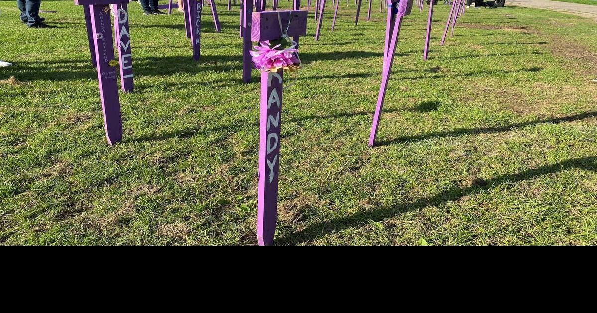 Drug testing program in Kitchener sees success