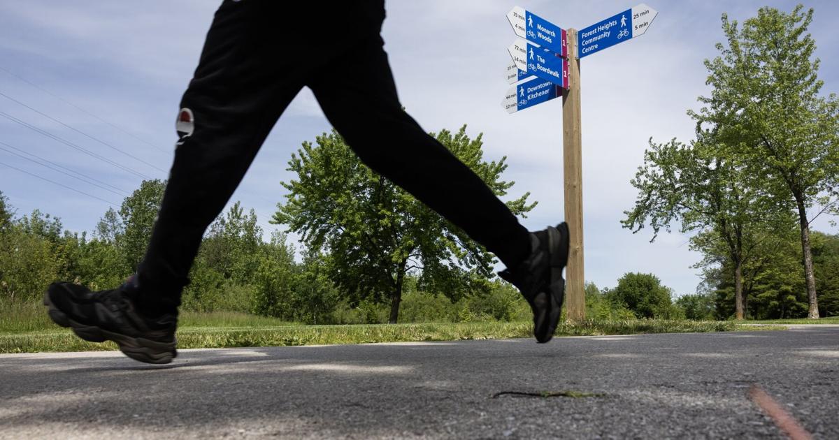 New bike route connects The Boardwalk to downtown Kitchener