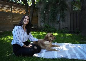 New pup taking over as Victim Services Toronto's trauma dog